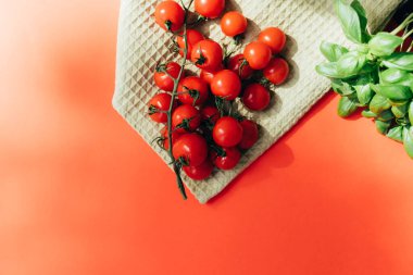 Sağlıklı yemek geçmişi. Taze sebze, yeşil mutfak havlusunda domates ve kırmızı arka planda yeşil bazilika. Düz yatıyordu