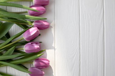 Pale pink delicate tulips on a white wooden background. Spring background with a bouquet of flowers. Top view