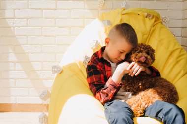 Gülümseyen bir çocuk sarı bir sandalyede küçük tüylü bir köpekle oturuyor, su birikintisi. Beyaz tuğla duvara dayanmış köpekli bir çocuğun portresi. Ön görünüm