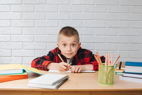 Αντίληψη Πίσω Στο Σχολείο Ένα Αγόρι Στη Διαδικασία Της Μελέτης — Φωτογραφία Αρχείου