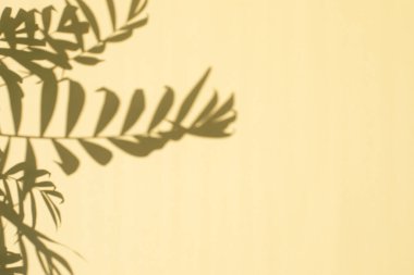 Sarı arka planda palmiye dallarının gölgeleri. Doğal arka plan. Seçici odak