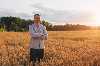 Gün batımında buğday tarlası. Tarım konsepti, tarladaki bir çiftçi mahsulün kalitesini kontrol eder. Ön görünüm
