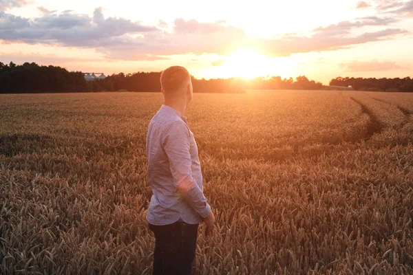 Пшеничное Поле Закате Концепция Сельского Хозяйства Фермер Поле Проверяет Качество — стоковое фото