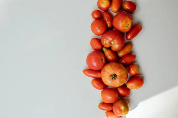 Ντομάτες Διαφόρων Μεγεθών Τσιμεντένιο Φόντο Κήπος Συγκομιδή Τομάτας Ώριμες Κόκκινες — Φωτογραφία Αρχείου