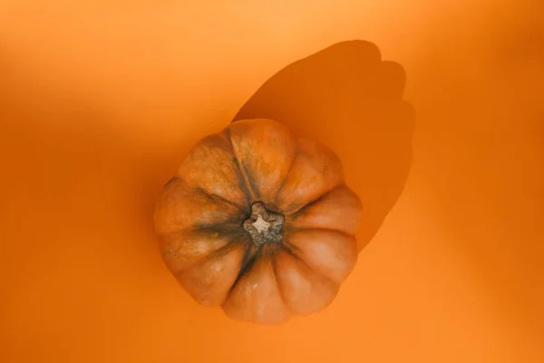 Zárjuk Sárga Sütőtököt Narancssárga Háttérrel Nappal Őszi Kompozíció Halloween Háttér — Stock Fotó