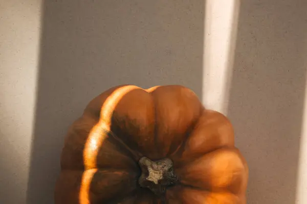 Närbild Gul Pumpa Beige Bakgrund Dagsljus Höstens Sammansättning Halloween Bakgrund — Stockfoto