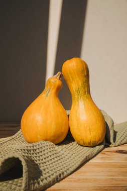 Yeşil havluyla arka planda iki sarı balkabağı. Sonbahar kompozisyonu. Cadılar Bayramı geçmişi. Ön görünüm