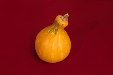 Kırmızı, pürüzsüz arka planda sarı balkabağı. Sonbahar, Cadılar Bayramı geçmişi. Üst görünüm