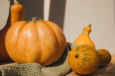 Yeşil havluyla arka planda iki sarı balkabağı. Sonbahar kompozisyonu. Cadılar Bayramı geçmişi. Ön görünüm