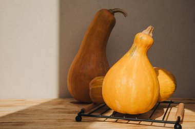 Açık arka planda, gün ışığı gölgeli sarı balkabağı seti. Sonbahar kompozisyonu. Cadılar Bayramı geçmişi. Ön görünüm