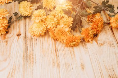 Çiçek arkaplan. Hafif arka planda sarı ve kırmızı kasımpatılar. Sonbahar çiçeklerinden parlak bir buket. Üst görünüm