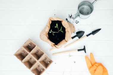 Bahçıvanlık kavramı. Eve sebze tohumu ekiyorum. Tohumlar için turuncu kasetler, bahçe aletleri, turuncu eldivenler, beyaz ahşap arka planda toprak. Düz yatıyordu