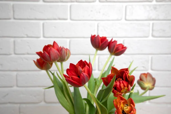 Red bouquet of tulips in a vase. Spring background with a bouquet of flowers. Front view