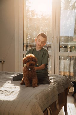 Yeşil tişörtlü bir çocuk ve parlak güneş ışığında çantasının üzerinde küçük su birikintisi olan bir köpek. Çocuklar ve evcil hayvanlar. Bir çocuk portresi. Ön görünüm