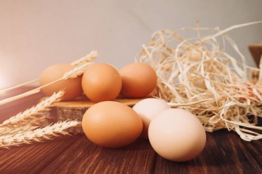 Tahta arka planda farklı kahverengi ve bej tonları olan tavuk yumurtaları ve kuru mısır. Paskalya geçmişi. Üst görünüm