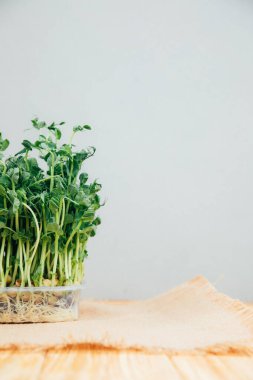 Evde bahçıvanlık. Yeşiller, bezelyeler, plastik kaplarda keten bir halının üzerinde ahşap bir arka planda. Ön görünüm