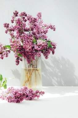 Gri arka planda gölgesi olan bir demet leylak. Doğal bahar çiçekli arka plan. Ön görünüm