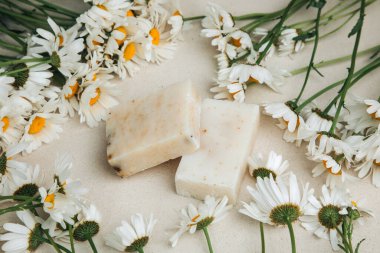 Doğal malzemelerden elde yapılan sabun, çeşitli otlar, papatya çayı. Sürdürülebilir kullanım kavramı, banyo ürünleri. Üst görünüm