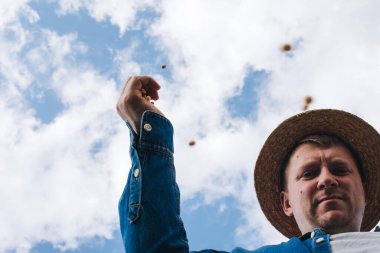 Soya tarlasında tarım yapan çiftçi. Tarım ürünlerinin büyümesini kontrol etmek. Fasulyeli yeşil soya. Alt görünüm