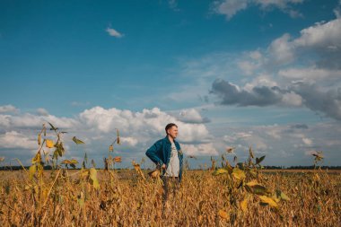 Soya tarlasında tarım yapan çiftçi. Tarım ürünlerinin büyümesini kontrol etmek. Fasulyeli yeşil soya. Ön görünüm