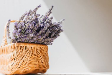 Arka planda gri bir sepet içinde taze lavanta. Çiçek açan arka plan. Tebrik kartı. Ön görünüm