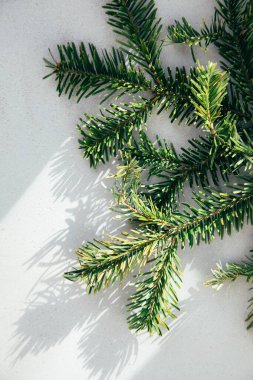Yeni yıl, Noel geçmişi. Gri beton arka planda yeşil bir Noel ağacının dalları. Üst görünüm