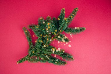 Yeni yıl, Noel geçmişi. Pembe arka planda yeşil bir Noel ağacının dalları. Üst görünüm