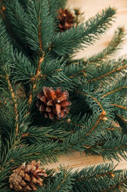 Yeni yıl, Noel geçmişi. Kahverengi arka planda yeşil bir Noel ağacının dalları. Üst görünüm