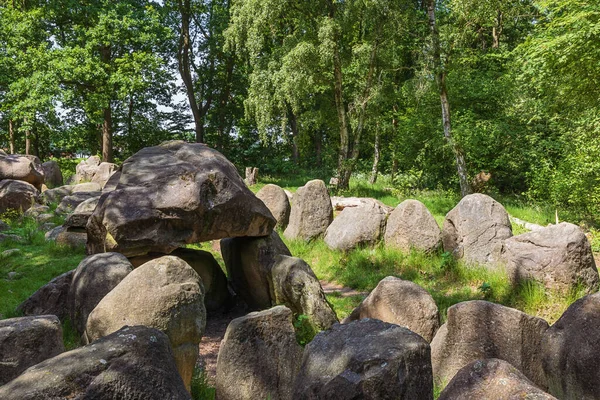 Vue Latérale Dolmen 25A Connu Sous Nom Kleinenkneter Stones Wildeshausen — Photo