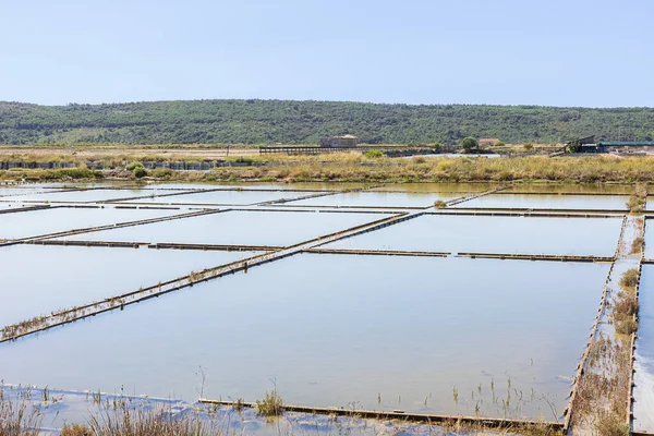 View of the salt pans in Sicciole a wetland and a breeding place for waterbirds