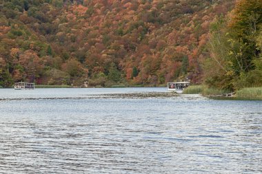 Parlak sonbahar renkleriyle çevrili Plitvice Göllerinde gezinen turistli tekneler