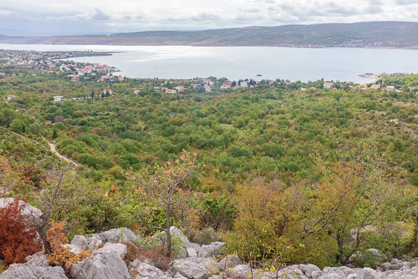 Wybrzeże Adriatyku Starigrad Paklenica Paklaric Punktu Widzenia — Zdjęcie stockowe