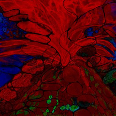 Psikedelik kırmızı volkan patlıyor. Kenarlara yakın dokunmatik tekniği kağıdın değişmiş yüzey pürüzü nedeniyle yumuşak bir odak etkisi verir.