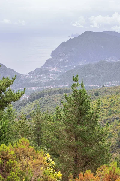 stock image View from Porto da Cruz till the most eastern point of Madeira seen from the Miradouro do Pico Redondo  observation platform