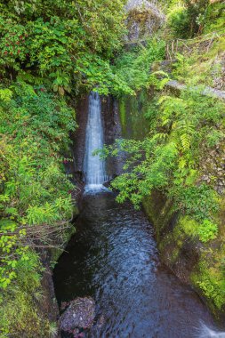 Levada do Furado 'daki şelale adanın en eski levadalarından biridir.