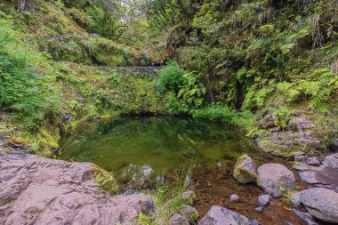 Levada do Furado 'nun yanındaki Idyllic göleti adadaki en eski levadalardan biridir.