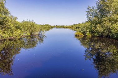 Meerbaansblaak 'ın samimi manzarası, Grote Peel' deki bir fen, Hollanda 'nın Limburg ve Kuzey Brabant arasındaki bir ulusal park.