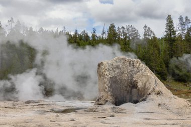 Yellowstone Ulusal Parkı 'ndaki Yukarı Gayzer Havzası' ndan buhar çıkıyor.