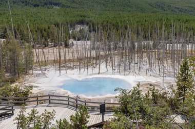 Yellowstone Ulusal Parkı 'ndaki Norris Gayzer Havzası' nın yukarıdan görünüşü