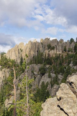 Güney Dakota Custer Eyalet Parkı 'ndaki Needles Otoyolu' nun etrafındaki engebeli manzara.