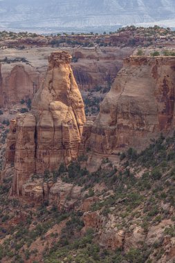 Colorado Ulusal Anıtı 'ndaki Alcove Doğa Yolu' ndan görülen Boru Organı Manzarası