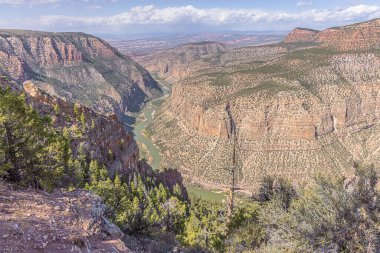 The deeply incised valley of the Green River seen from Harper's Trail in the Dinosaur National Monument clipart
