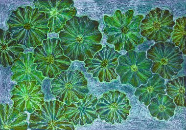 Nilüfer yapraklarının çırpınışları. Kenarlara yakın dokunmatik tekniği kağıdın değişmiş yüzey pürüzü nedeniyle yumuşak bir odak etkisi verir.