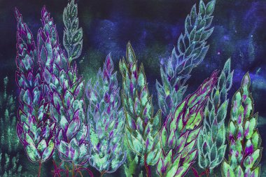 Mavi saatte psikedelik lupinler. Kenarlara yakın dokunmatik tekniği kağıdın değişmiş yüzey pürüzü nedeniyle yumuşak bir odak etkisi verir.