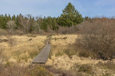 Mutzenich yakınlarındaki Alman-Belçika sınırındaki High Fens 'in ıslak bir bölümünden tahta yol.