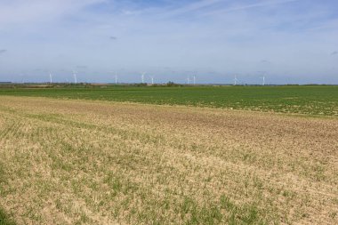 Arka planda yel değirmenleriyle birlikte Liege bölgesinin yakınlarında tarlalar sürülmeyi bekliyor.