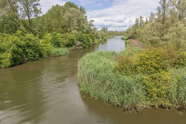 stock image A network of small canals between green islands in the Biesbosch National Park