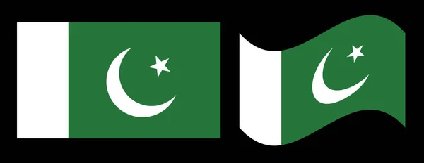 Дизайн Вектора Национального Флага Пакистана Дизайн Флага Пакистана — стоковый вектор