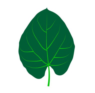 yeşil aşk yaprak vektör illüstrasyonunu bırakır.