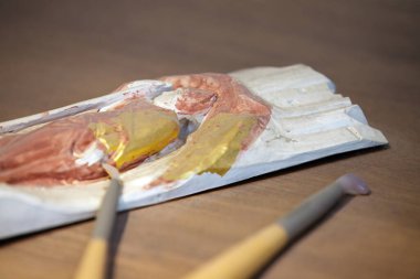 Bu resim, ahşap bir yüzeyde duran bir çift iyi kullanılmış fırça ve boya lekeleriyle bir sanatçı paletini incelikle yakalar. Sıcak renklerin karışımı ve yapısal karşıtlık